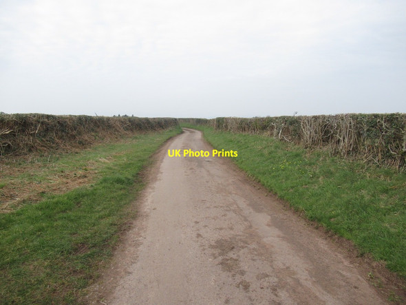 Photo 6"x4" Road to Newchurch Gaer-fawr c2022