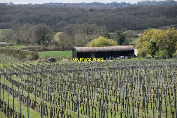 Photo 6"x4" Barn and orchard Hill Park\/TQ4355 c2021