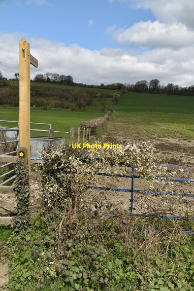 Photo 6"x4" Footpath off Pilgrims' Lane Titsey c2021
