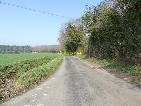 Photo 6"x4" North on Skeyton Road Skeyton Corner c2022
