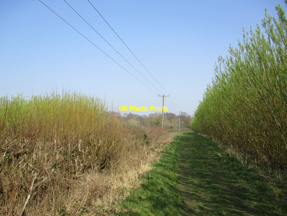 Photo 6"x4" Footpath to Kirklington Kirklington\/SK6757 c2022