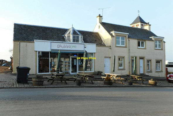 Photo 6"x4" Rhubarb Lime Glentirranmuir c2022