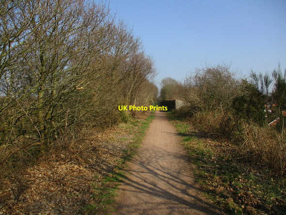 Photo 6"x4" Course of railway line to the former Bilsthorpe Colliery Bilsthorpe c2022