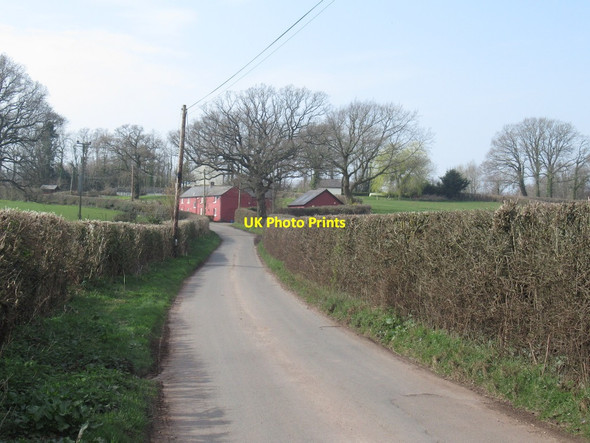 Photo 6"x4" Waterloo, Coed-cefn Pen-yr-heol\/SO4311 c2022