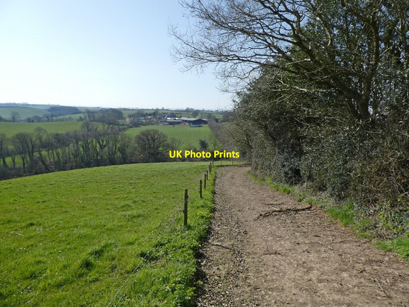 Photo 6"x4" Track to Rolstone Barton Kennerleigh c2022