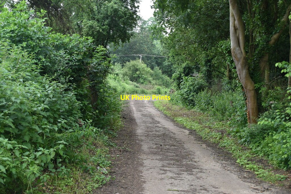 Photo 6"x4" Thorofare Lane Knapwell c2021