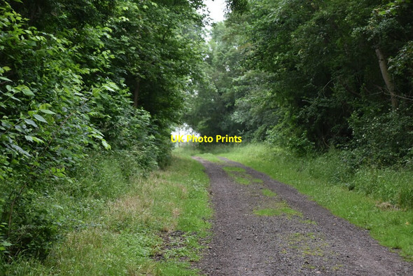 Photo 6"x4" Thorofare Lane Knapwell c2021 P3