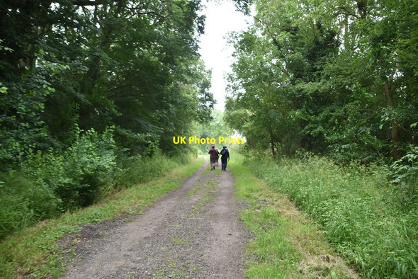 Photo 6"x4" Thorofare Lane Knapwell c2021 P4