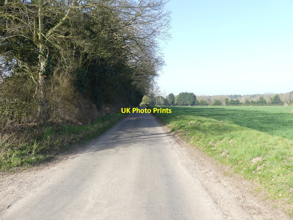 Photo 6"x4" Looking back to Cat's Corner Skeyton Corner c2022