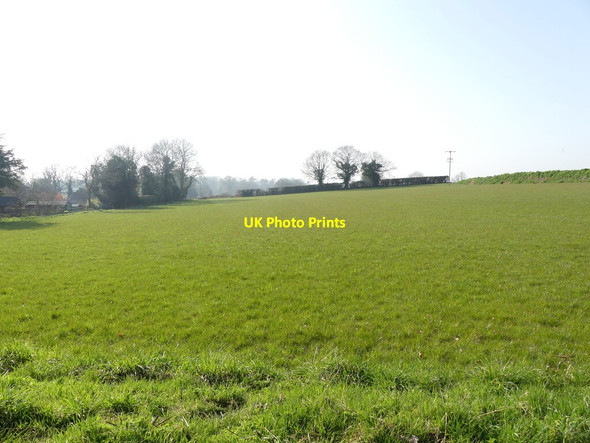 Photo 6"x4" Grass field Skeyton Corner c2022