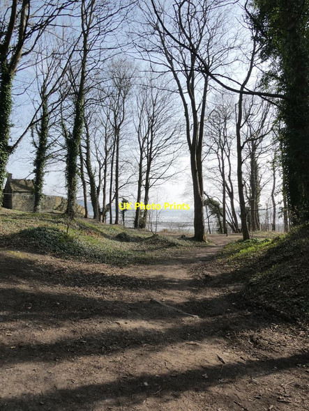 Photo 6"x4" Woodland above the shore of Dalgety Bay Dalgety Bay\/NT1583 c2022