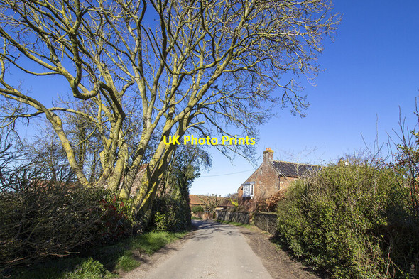 Photo 6"x4" Tyby Farm Guestwick c2022