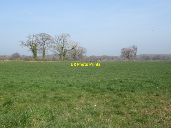Photo 6"x4" Grassland near Wilderley Church Pulverbatch c2022