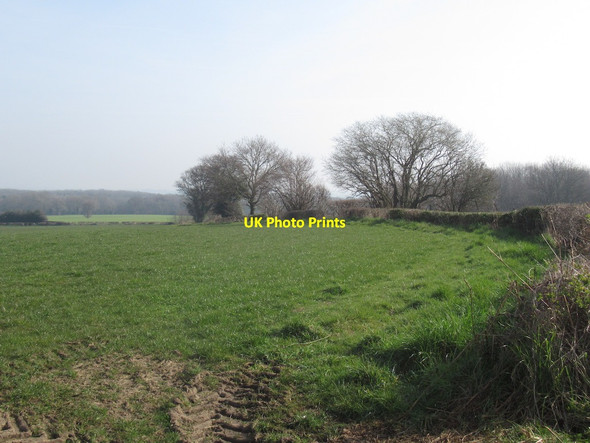 Photo 6"x4" Field, Wilderley Church Pulverbatch c2022 P1