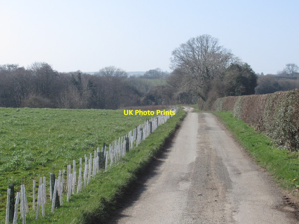 Photo 6"x4" Road to Picklescott Picklescott c2022