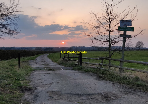 Photo 6"x4" Track to Whetstone Gorse Willoughby Waterleys c2022