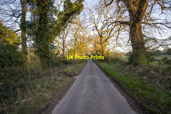 Photo 6"x4" The Street Swanton Novers c2022