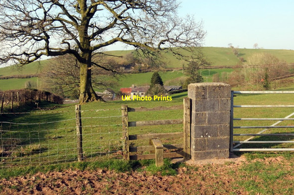 Photo 6"x4" Llwybr Cwmclyd \/ Cwmclyd path Myddfai c2022