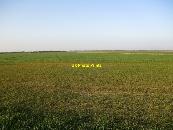 Photo 6"x4" Fields off Frampton Roads Frampton\/TF3239 c2022