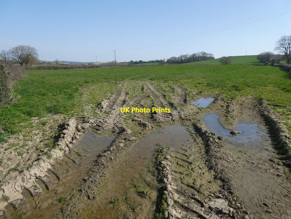 Photo 6"x4" Muddy field entrance Lapford Cross c2022