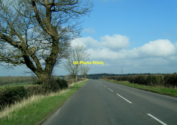 Photo 6"x4" B5017 near Bolingbroke Wood Hanbury Woodend c2022