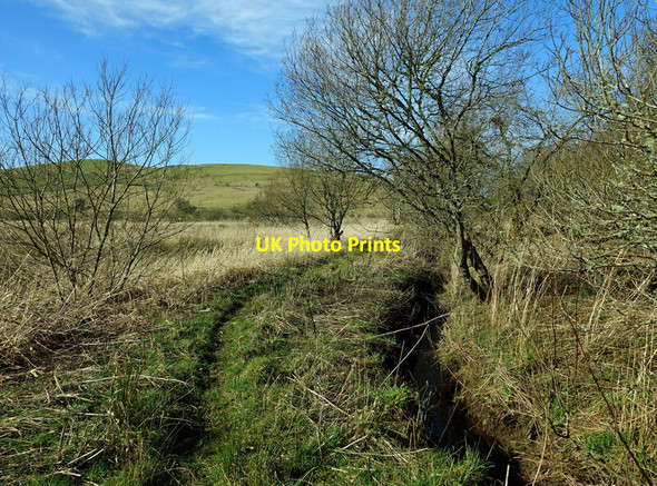Photo 6"x4" Footpath to the River Doon Burnton\/NS4706 c2022