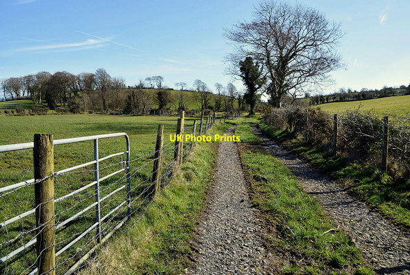 Photo 6"x4" Rough lane, Cloghog Upper Drumquin c2022
