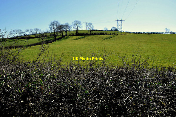 Photo 6"x4" Bare hedge along Moylagh Road Beragh c2022