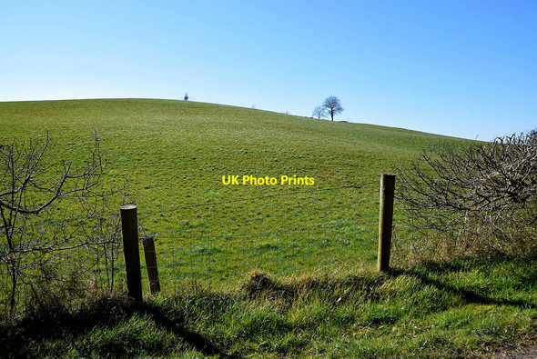 Photo 6"x4" A low hill, Curr Beragh c2022