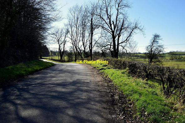 Photo 6"x4" Muddy along Church Road Beragh c2022