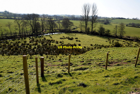 Photo 6"x4" Rushy ground, Bracky Beragh c2022