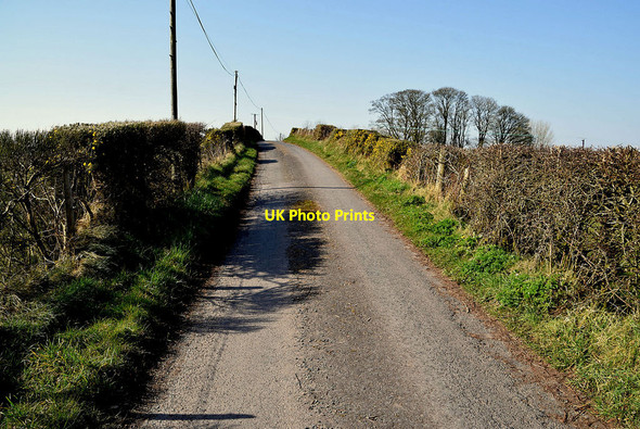 Photo 6"x4" Dreenan Road, Bracky Beragh c2022