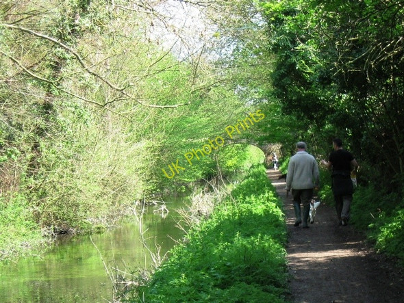 Photo 6"x4" Wendover Arm: Looking towards Wellonhead Bridge (No 7) over the Canal Buckland\/SP8812 c2009