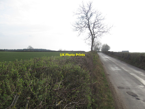 Photo 6"x4" Newby - Shap road Little Strickland c2022