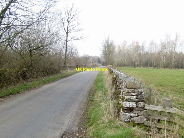 Photo 6"x4" Newby to Great Strickland road Morland c2022