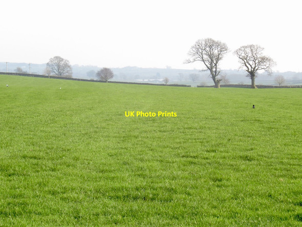 Photo 6"x4" Field, Brockleymoor Brockleymoor c2022