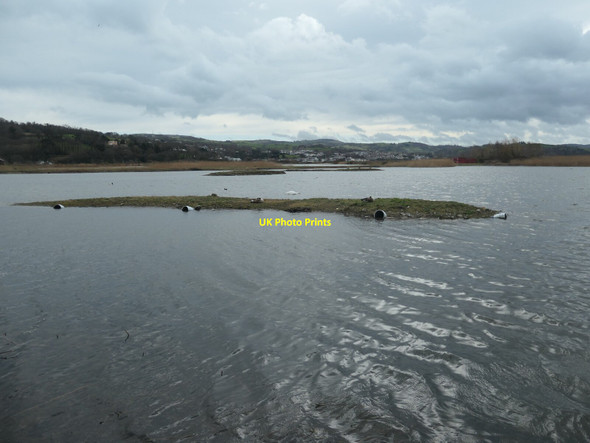 Photo 6"x4" Island in the western lagoon, RSPB Conwy Conwy c2022