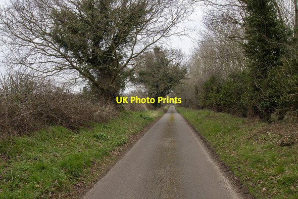Photo 6"x4" Slad Lane Billingford\/TG0120 c2022