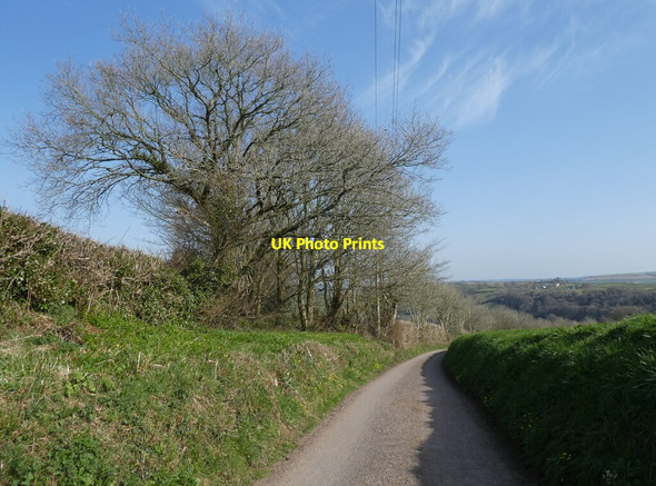 Photo 6"x4" Minor Road to Holm Cross Brushford\/SS6707 c2022
