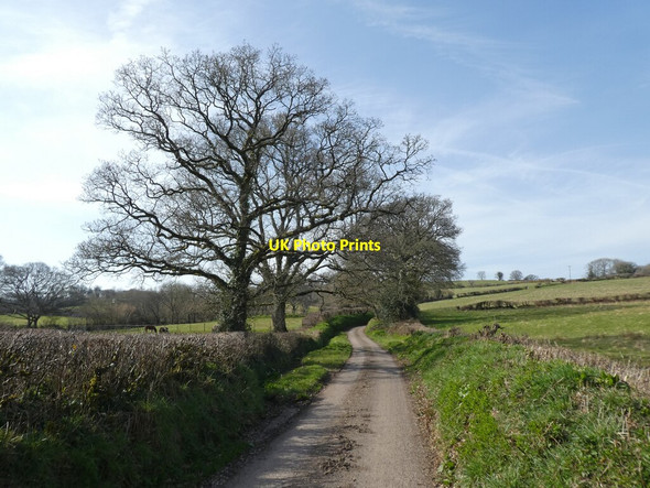 Photo 6"x4" Minor road to Partridge Walls Cross Brushford\/SS6707 c2022