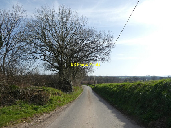 Photo 6"x4" Lane heading south, to the B3220 Brushford\/SS6707 c2022