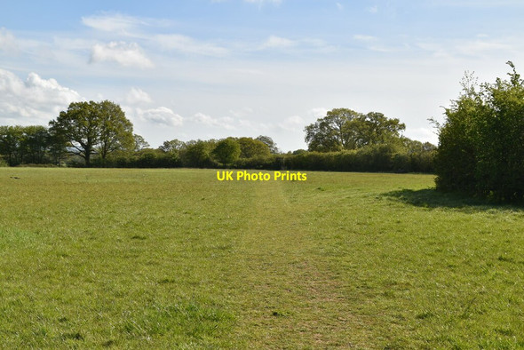 Photo 6"x4" Footpath across field Biddenden c2021 P1