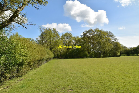 Photo 6"x4" Field boundary footpath Biddenden c2021