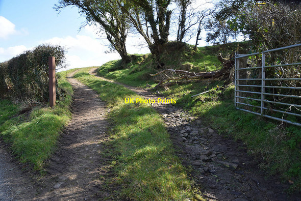 Photo 6"x4" Entrance to field, Botera Lower Omagh c2022
