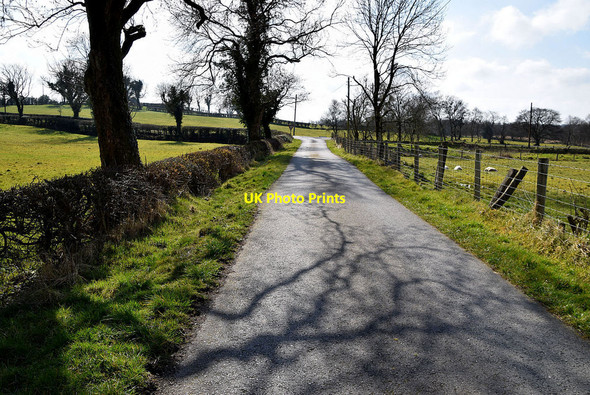 Photo 6"x4" Shadows along Burrow Road Omagh c2022