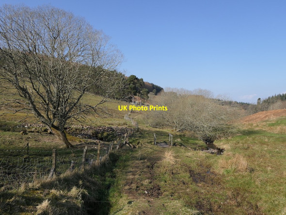 Photo 6"x4" Path to Bellshill, Cloan Glen Milton\/NN9512 c2022