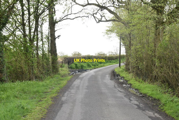 Photo 6"x4" Wagstaff Lane Stede Quarter c2021