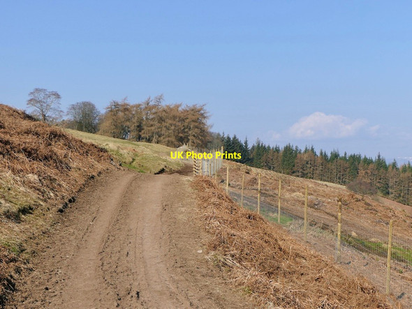 Photo 6"x4" Track, Bellshill Auchterarder c2022