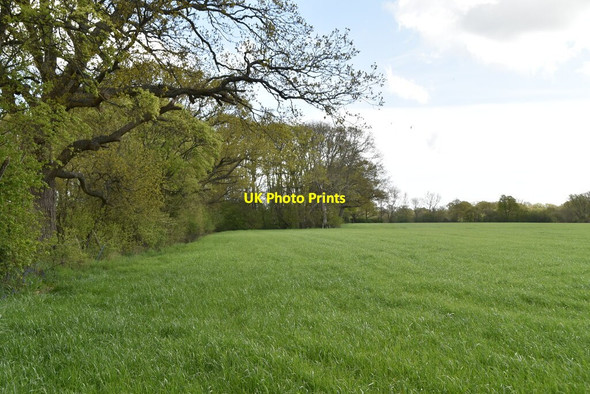 Photo 6"x4" Field boundary footpath Stede Quarter c2021