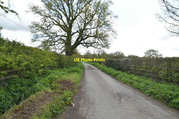 Photo 6"x4" Gadsby Lane Further Quarter c2021